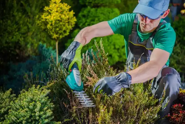 landscaping services Forest Home